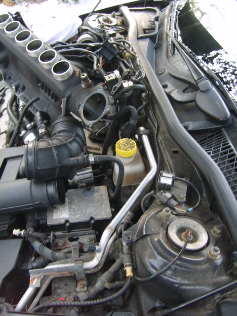 s5001659.jpg