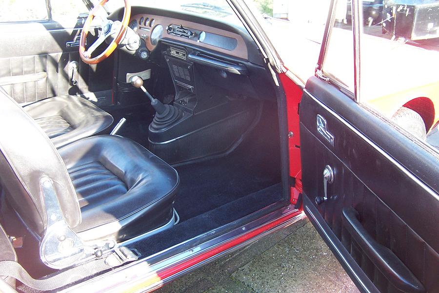 fulvia3.jpg
