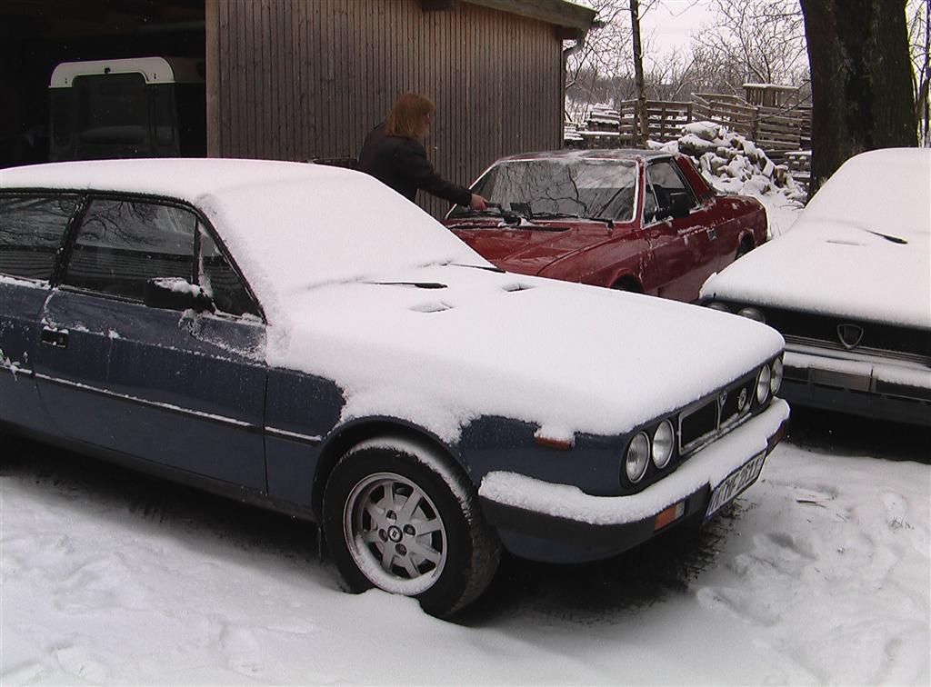 winter spider 012 (large).jpg