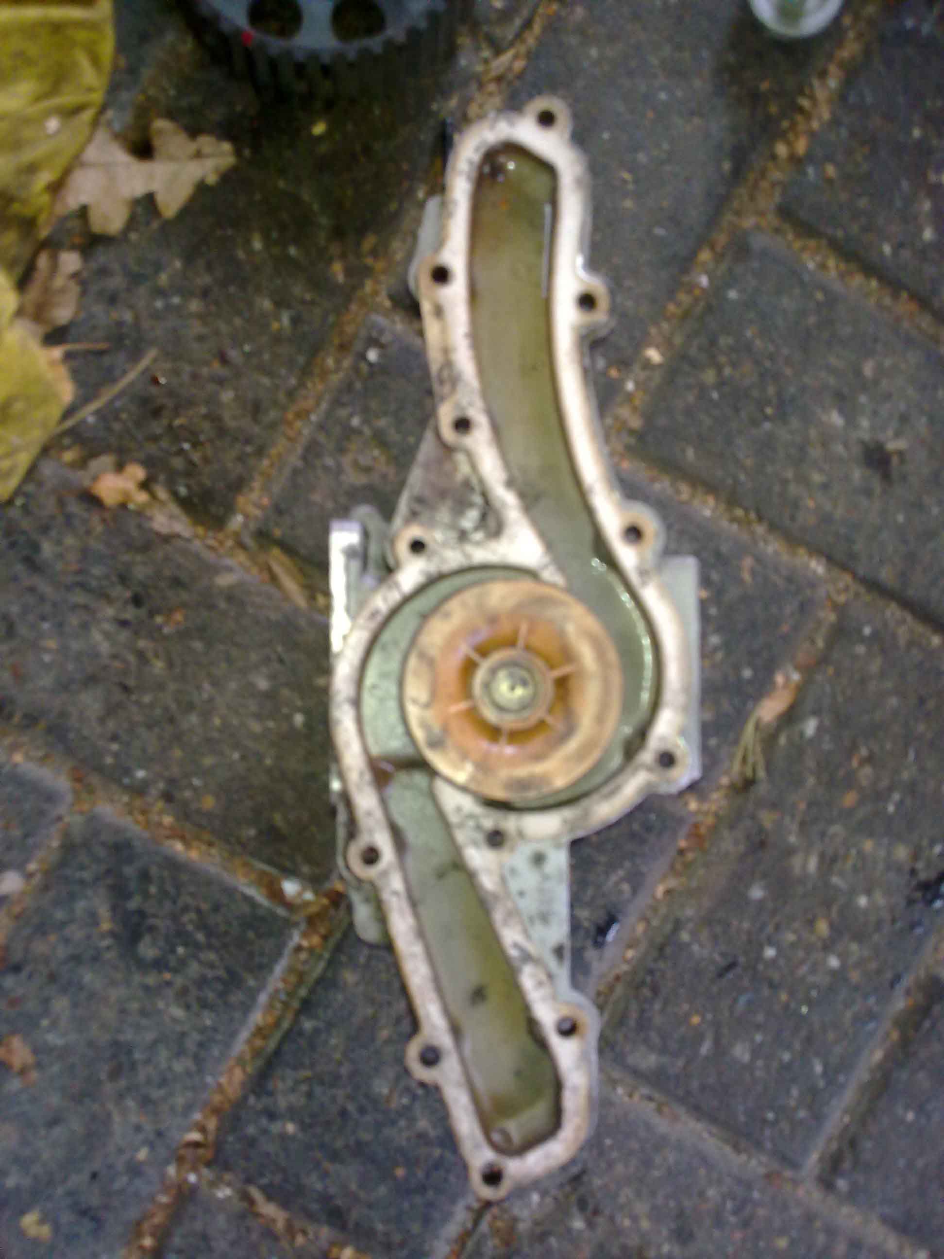 w1.jpg