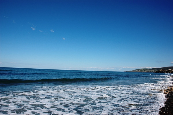 dsc_0499.jpg