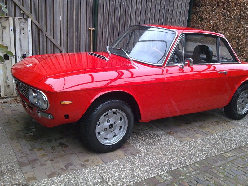 fulvia forum.jpg