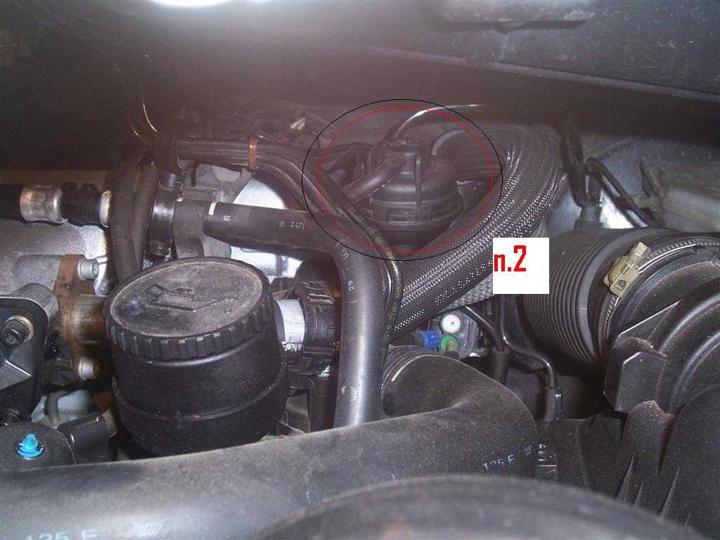 foto2.jpg