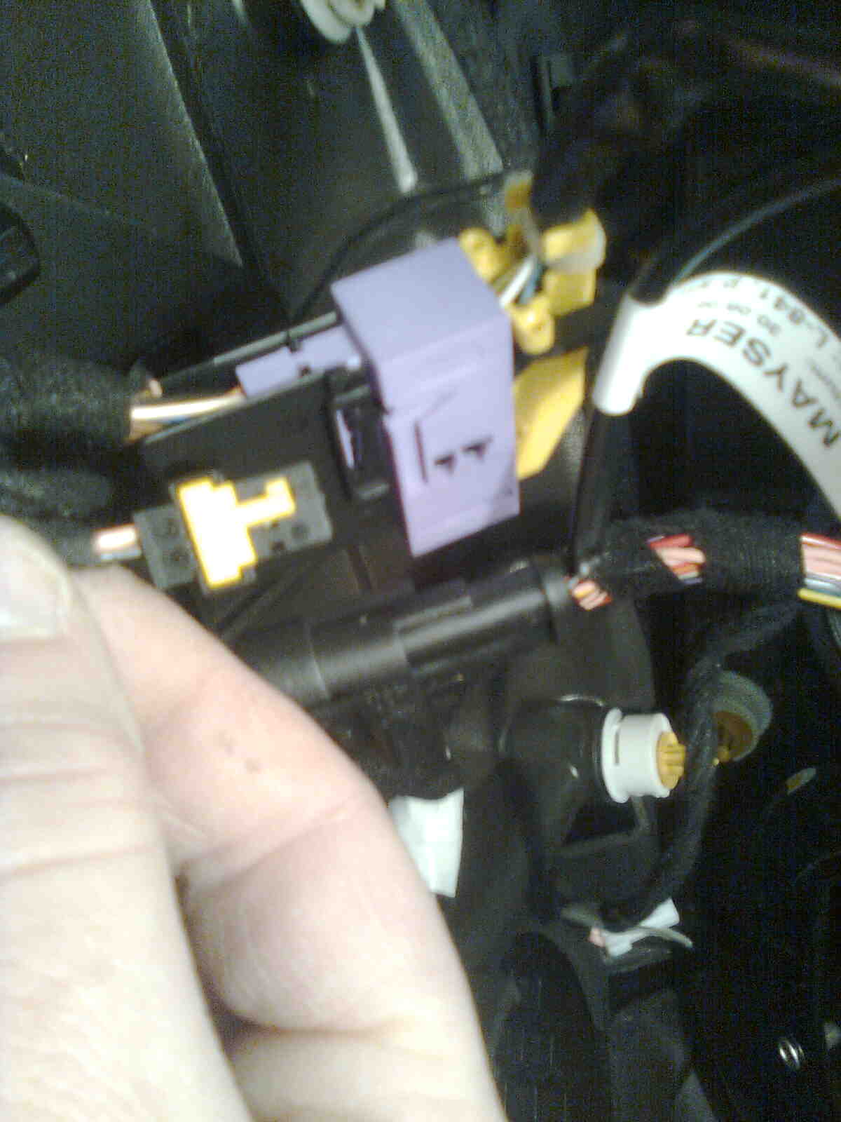 immag0091.jpg