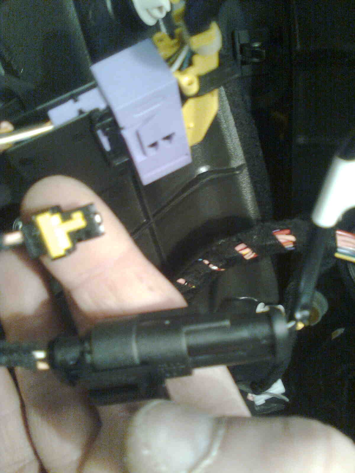 immag0092.jpg