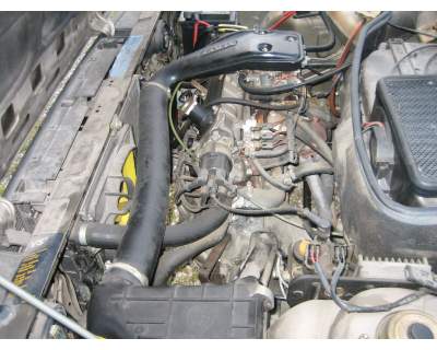 9bccaae9ee09740c44aad7458cb22e9a_big[1].jpg