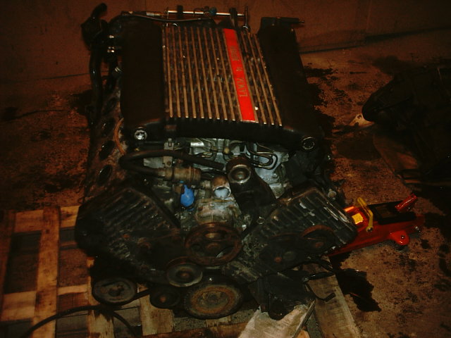 imag0332.jpg