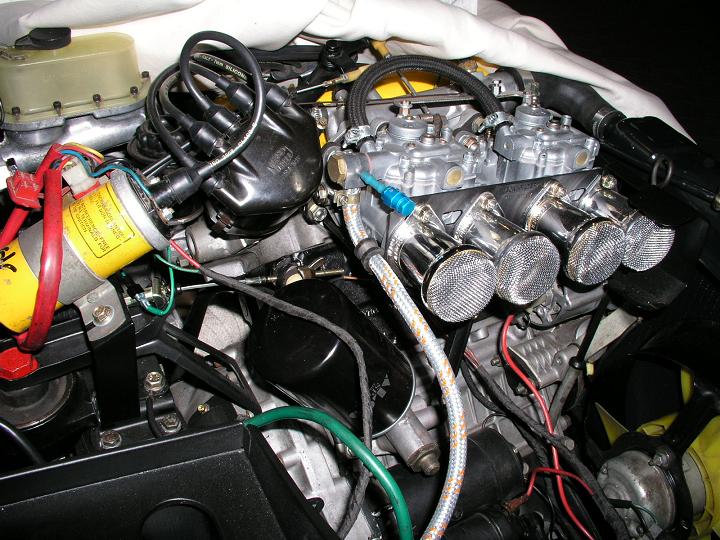 p1012659klein.jpg
