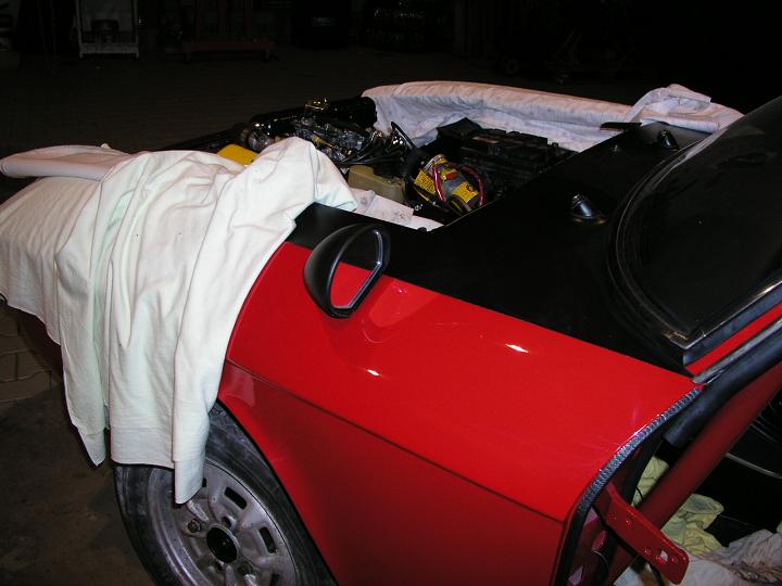 p1012699klein.jpg