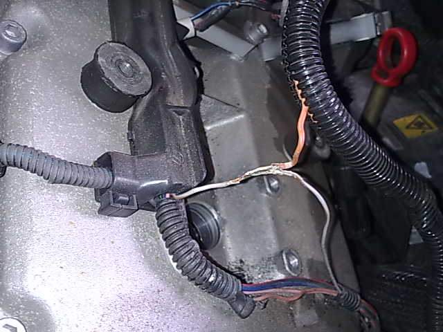 12032011116.jpg