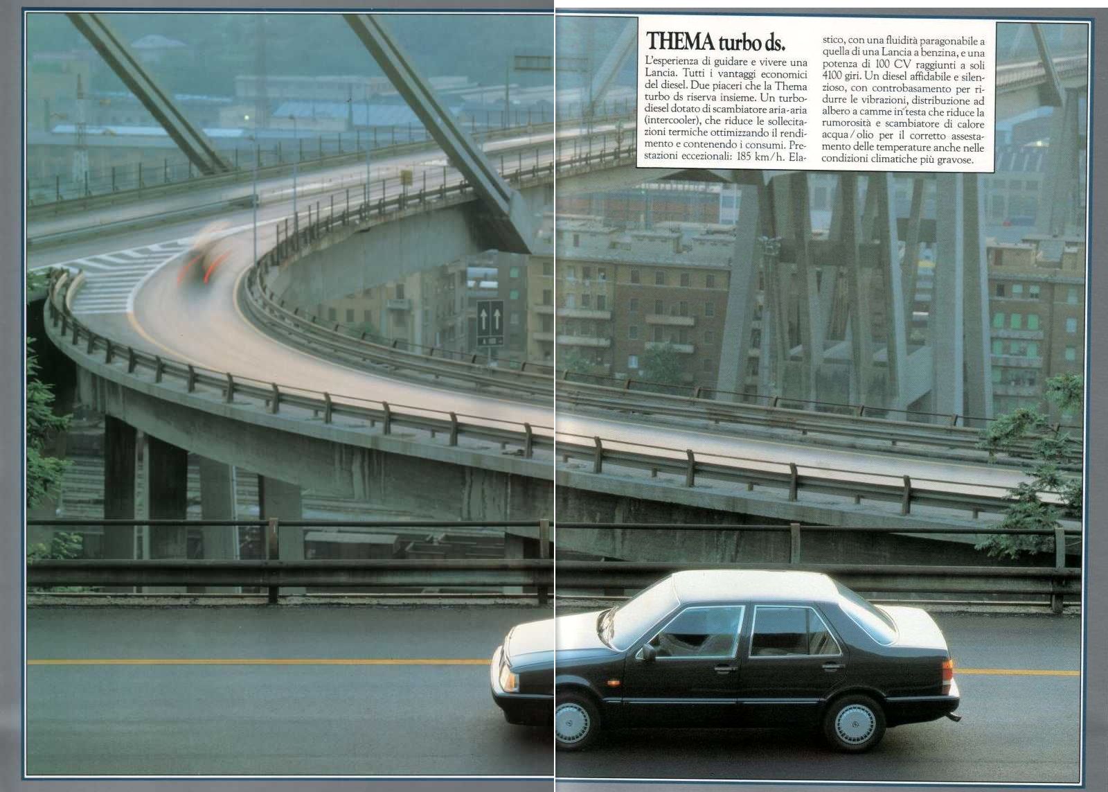 thld010b.jpg