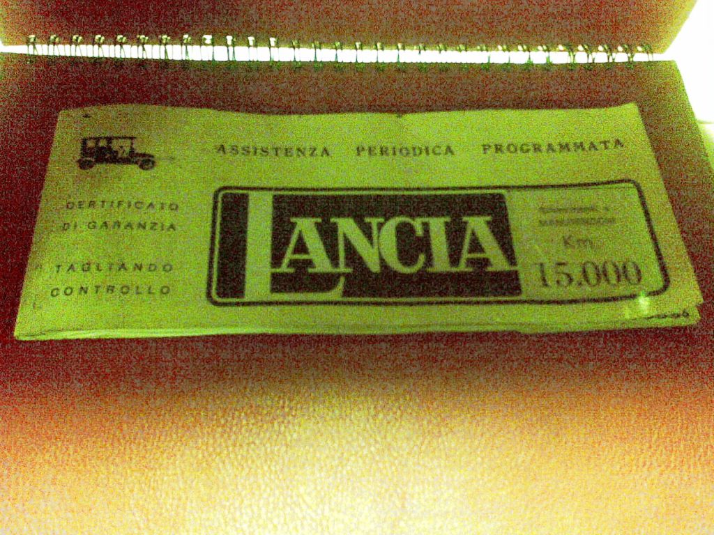 fulvia assistenza.jpg