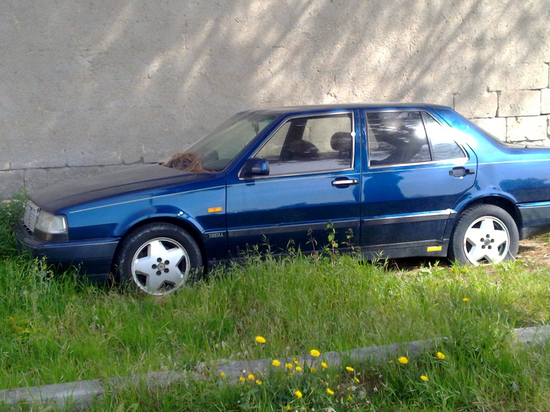 28032011197.jpg