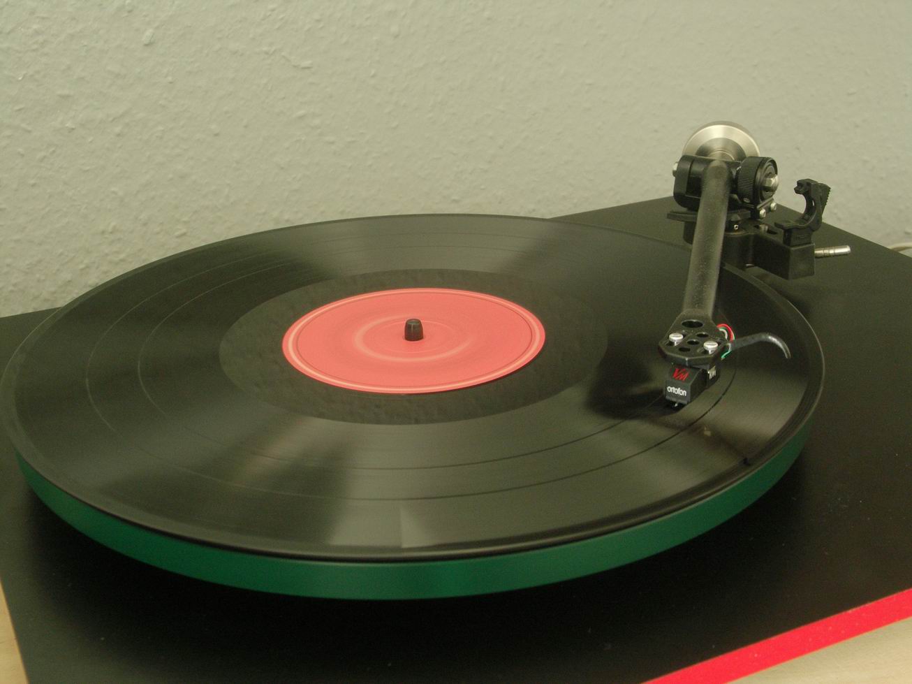 rega.jpg