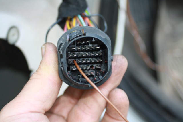 img_2026 [640x480].jpg