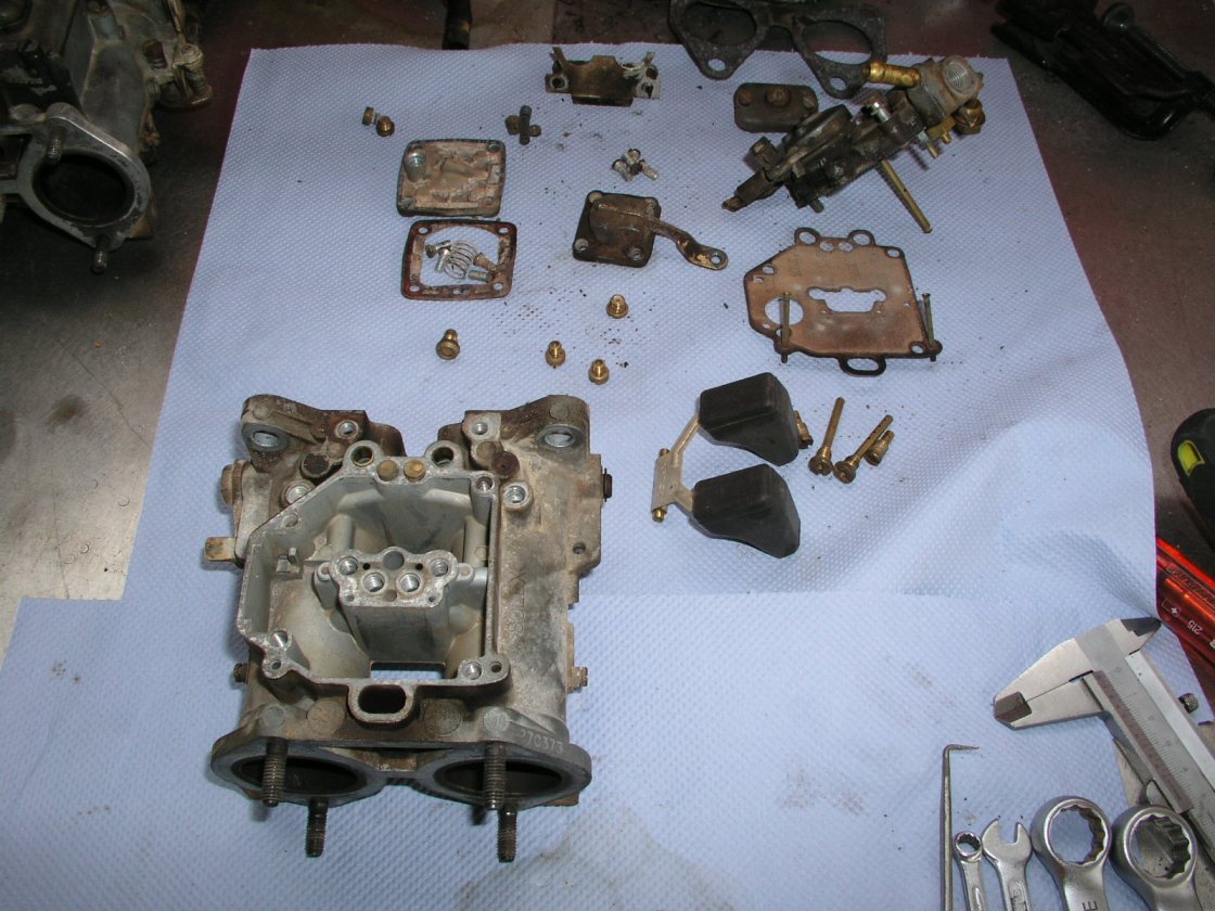 p1013071klein.jpg