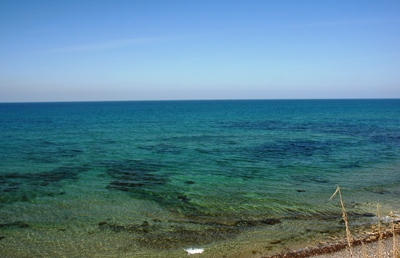 dsc_0520.jpg