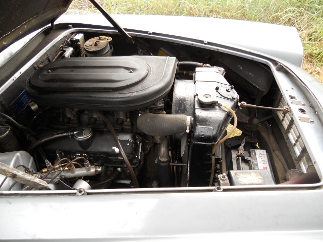 gtt 009.jpg