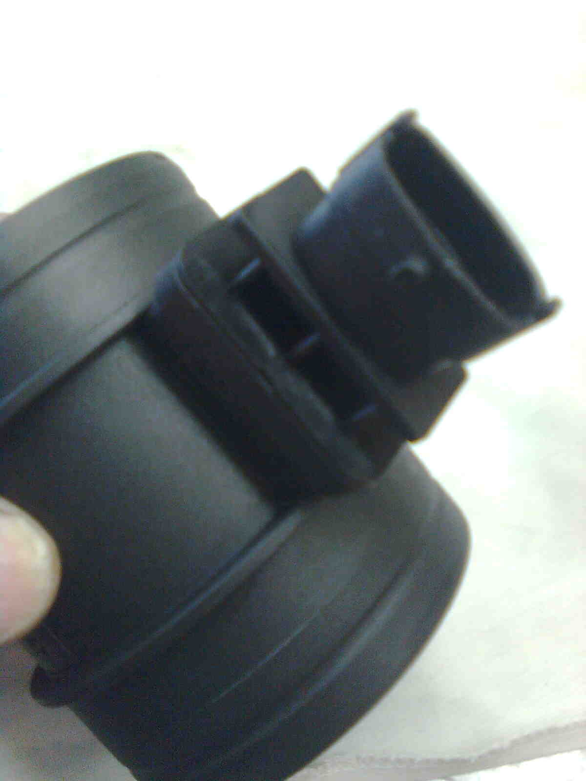immag0110.jpg