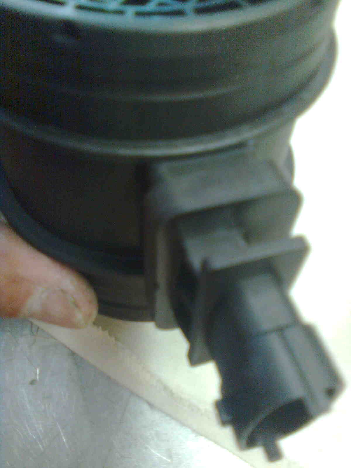 immag0111.jpg