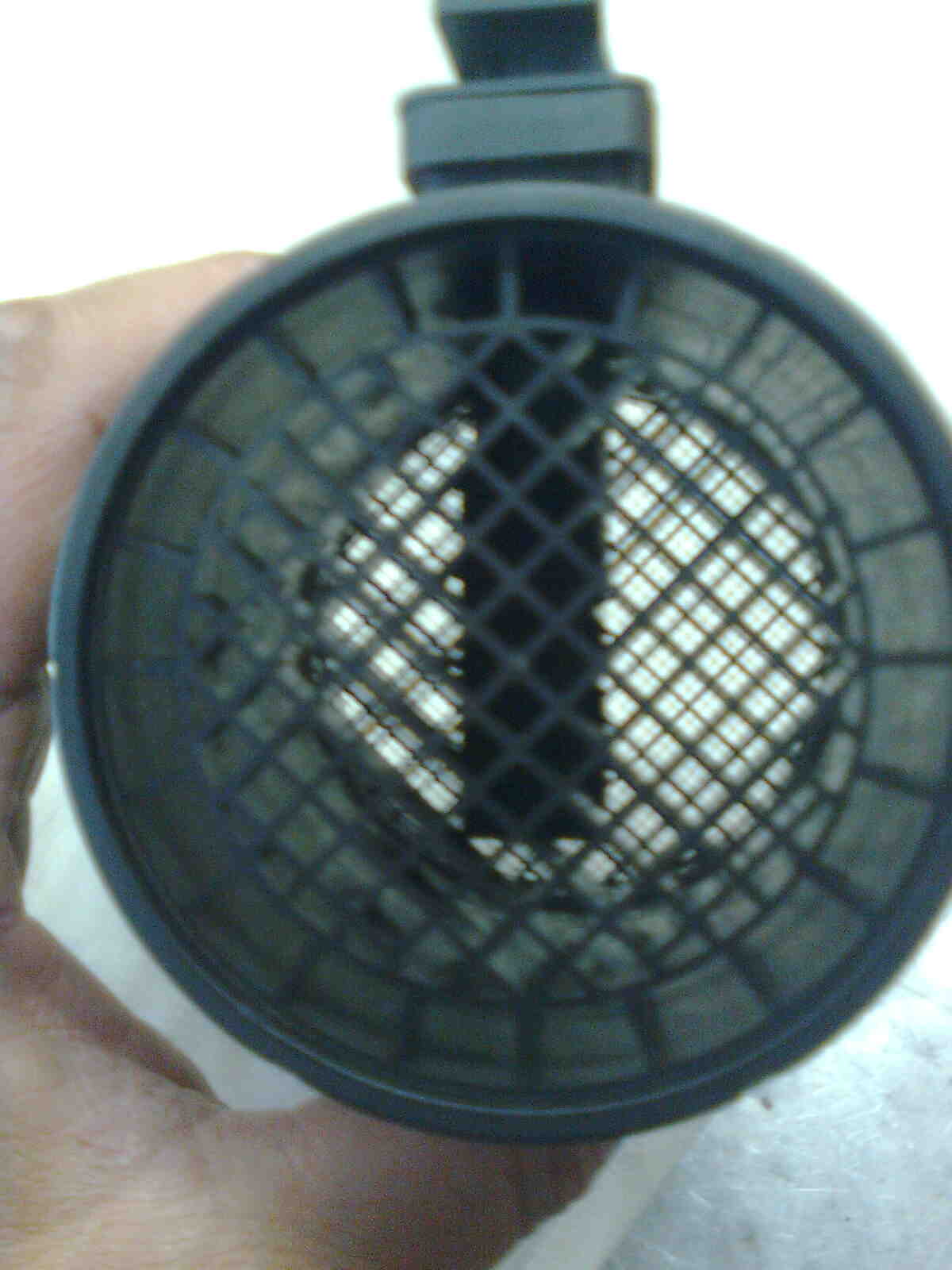 immag0112.jpg