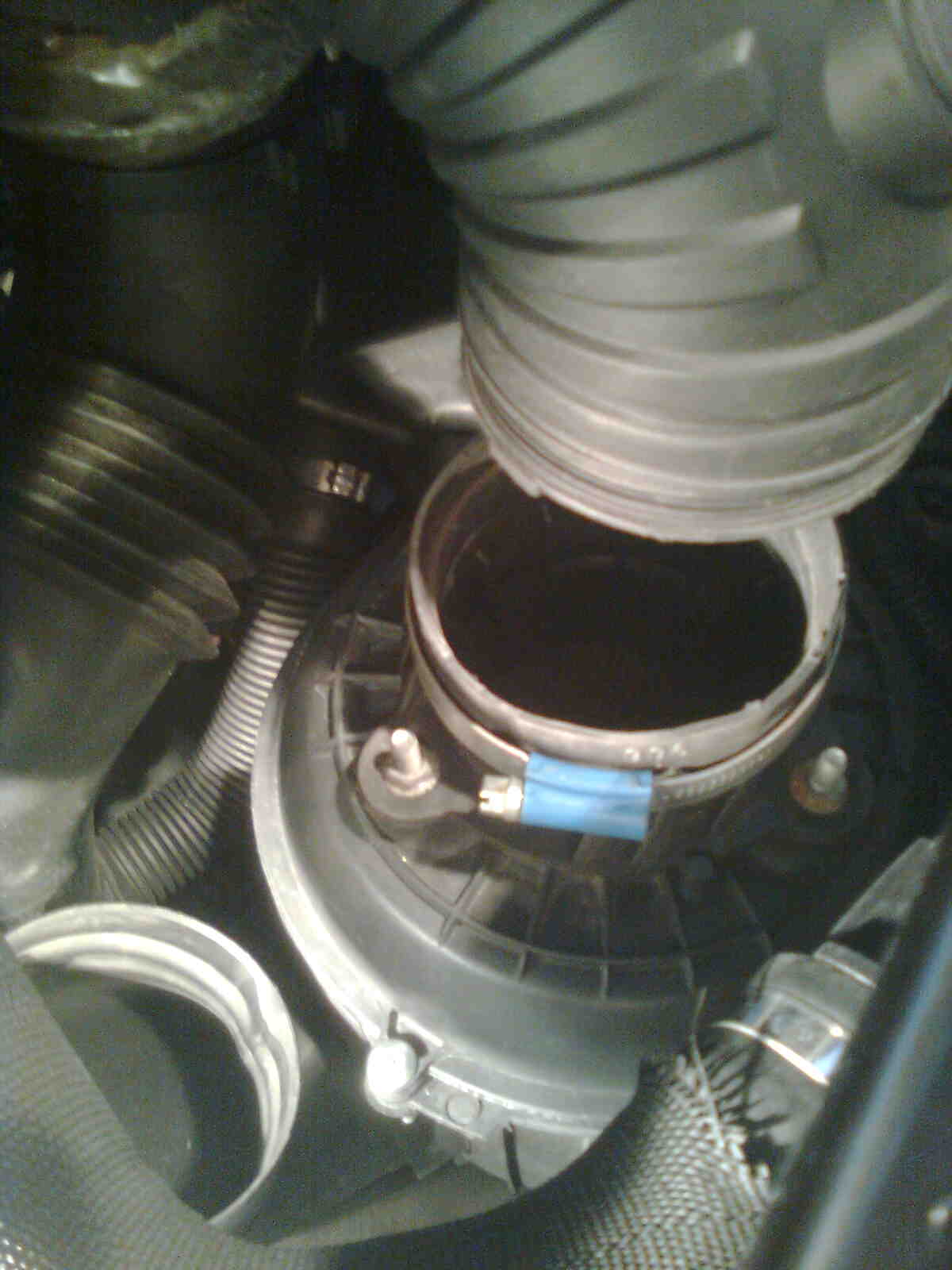 immag0113.jpg