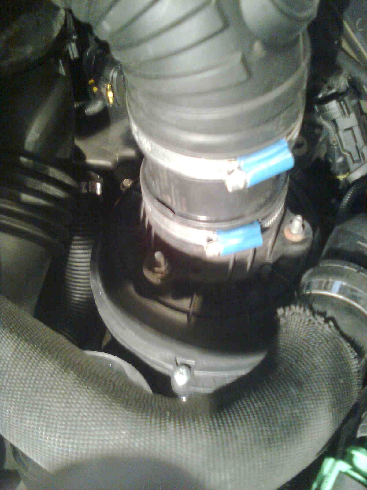immag0115.jpg