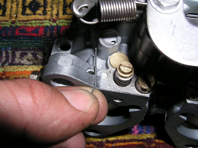 p1013107klein.jpg