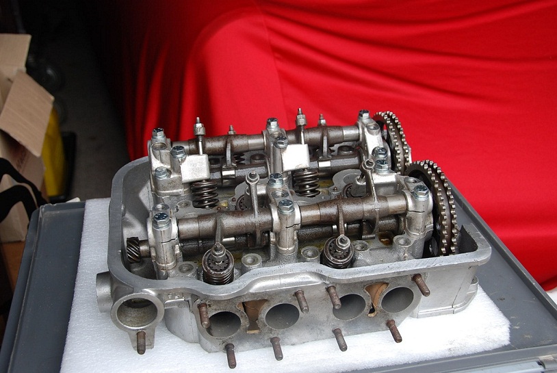 fulvia hf 002.jpg