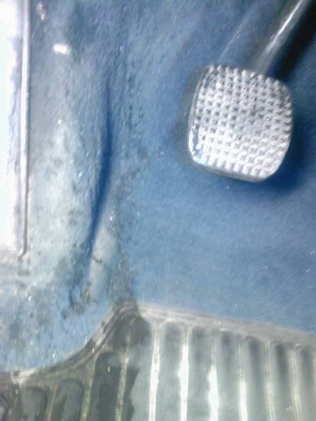 foto0401.jpg