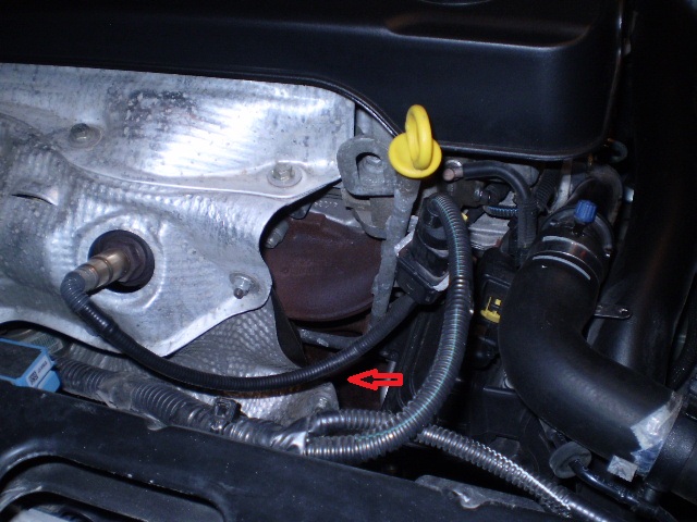 p1170002.jpg