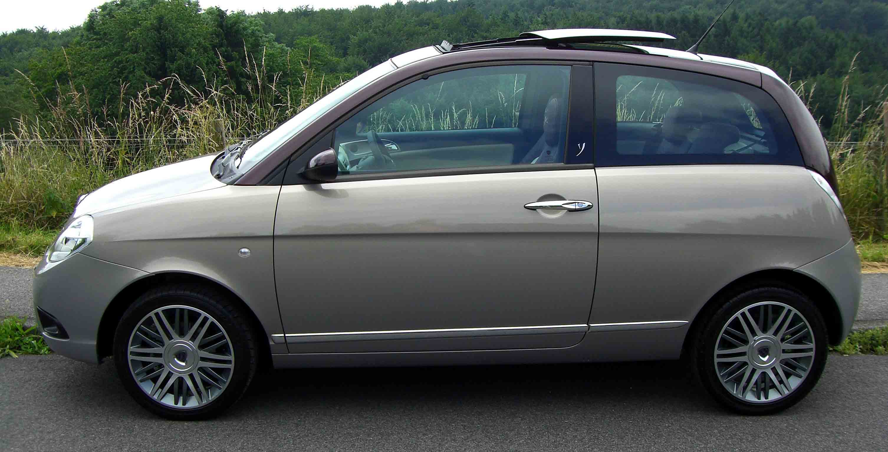 ypsilon-platino-4.jpg