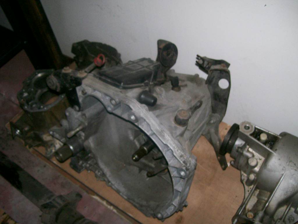 motori 119.jpg