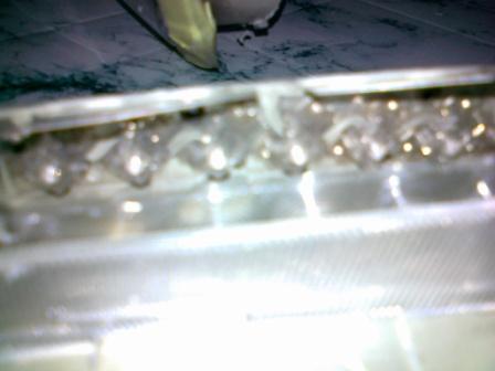 07092011079.jpg