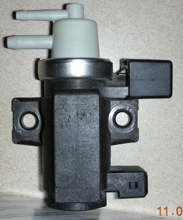 immagine3.jpg