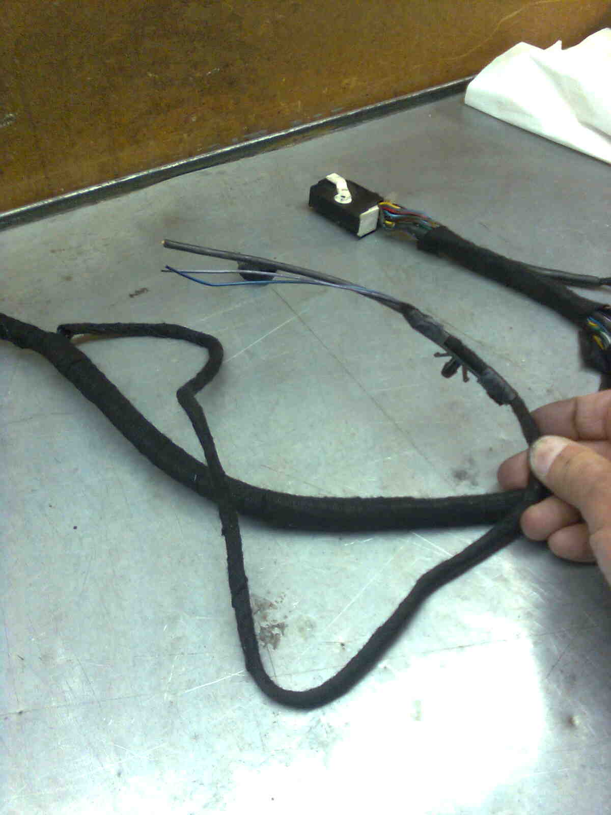 immag0183.jpg