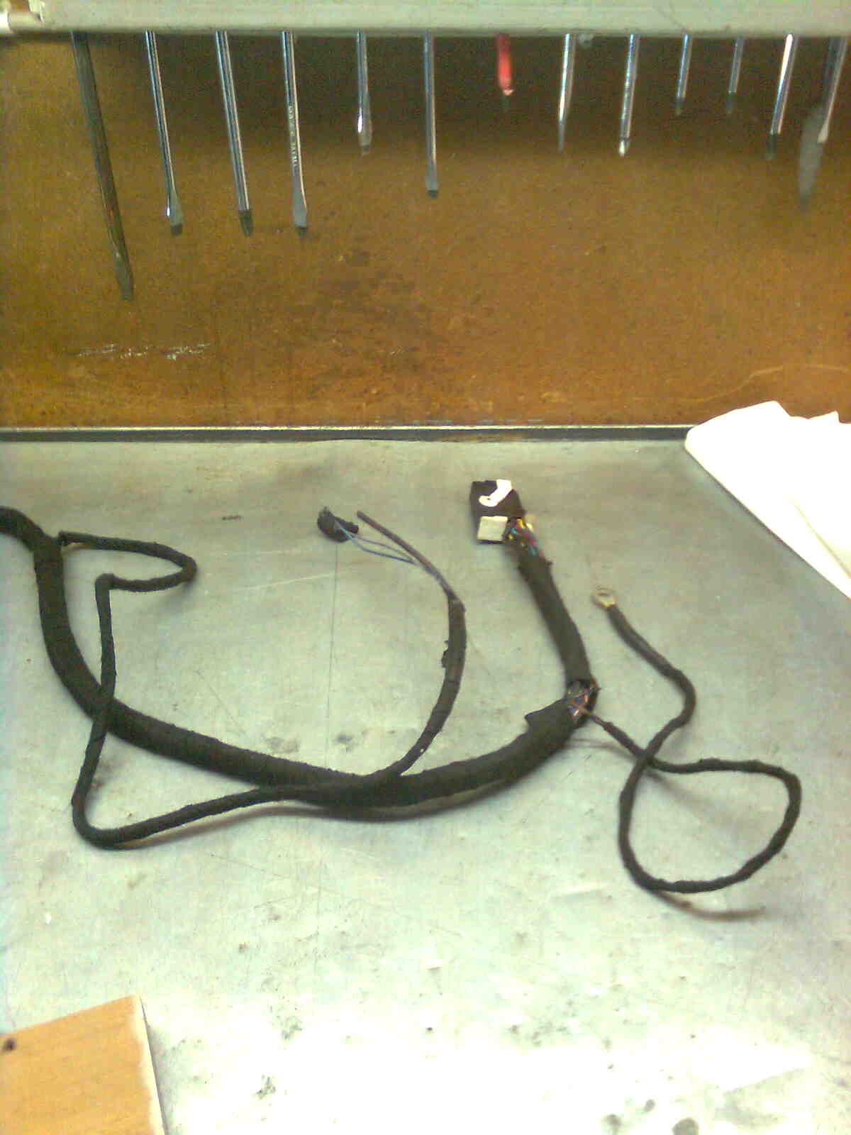 immag0185.jpg