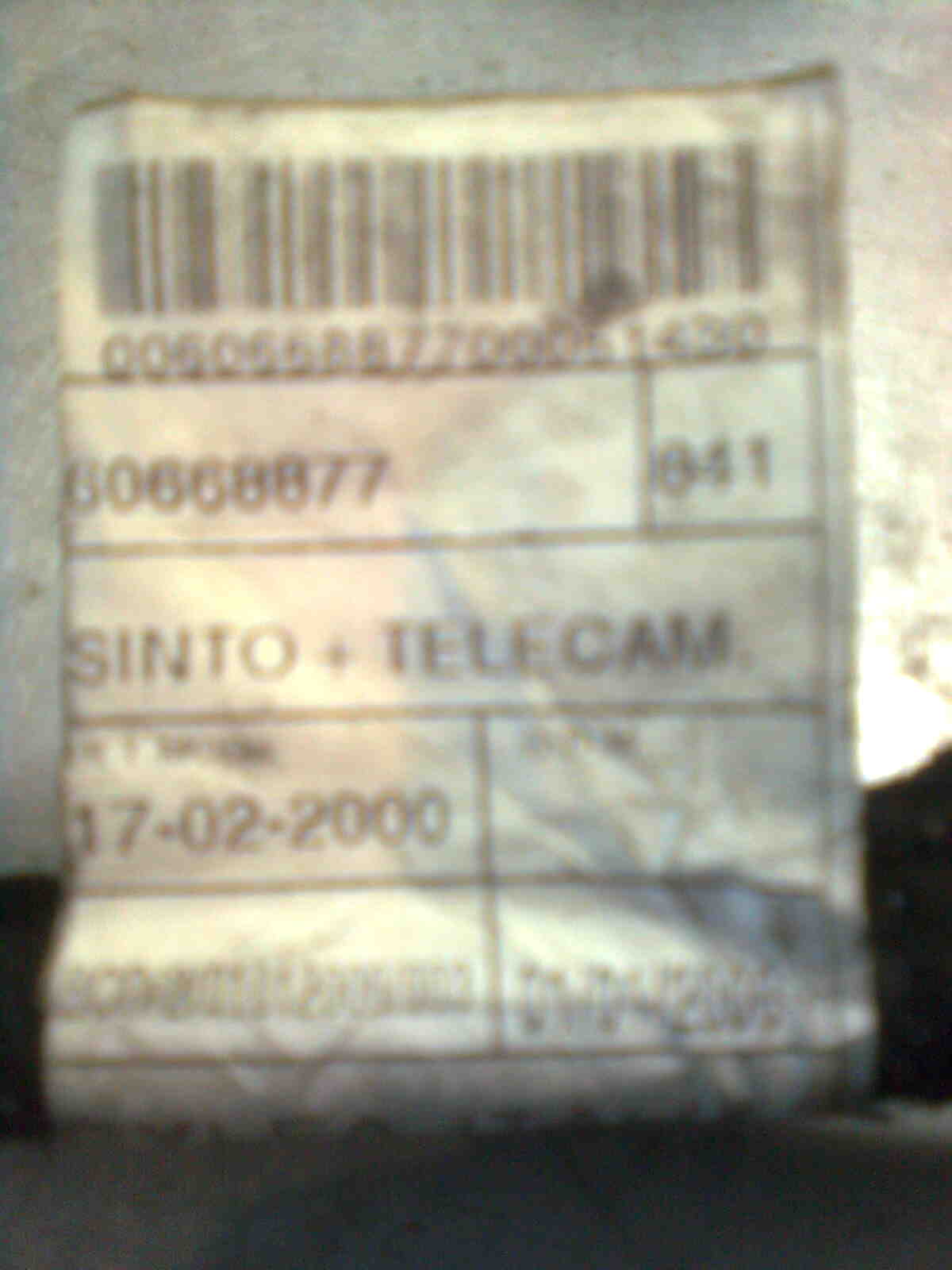 immag0186.jpg