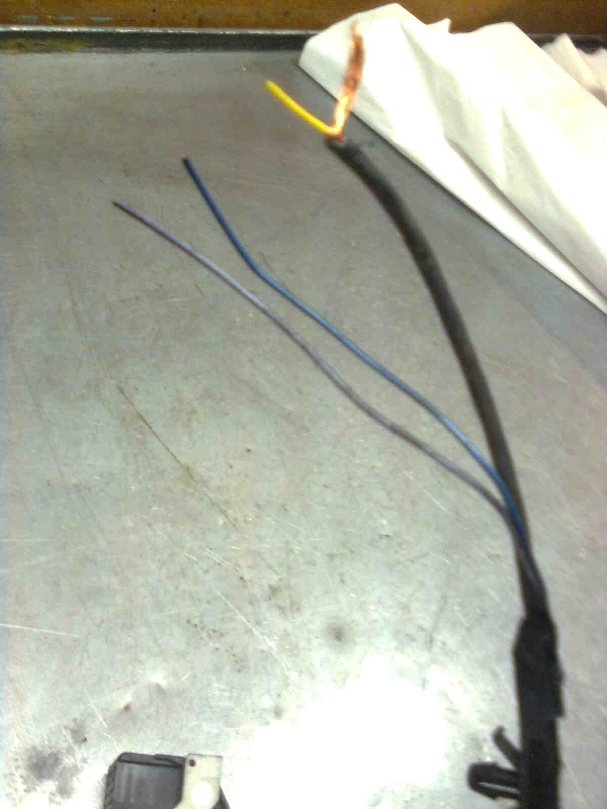 immag0188.jpg