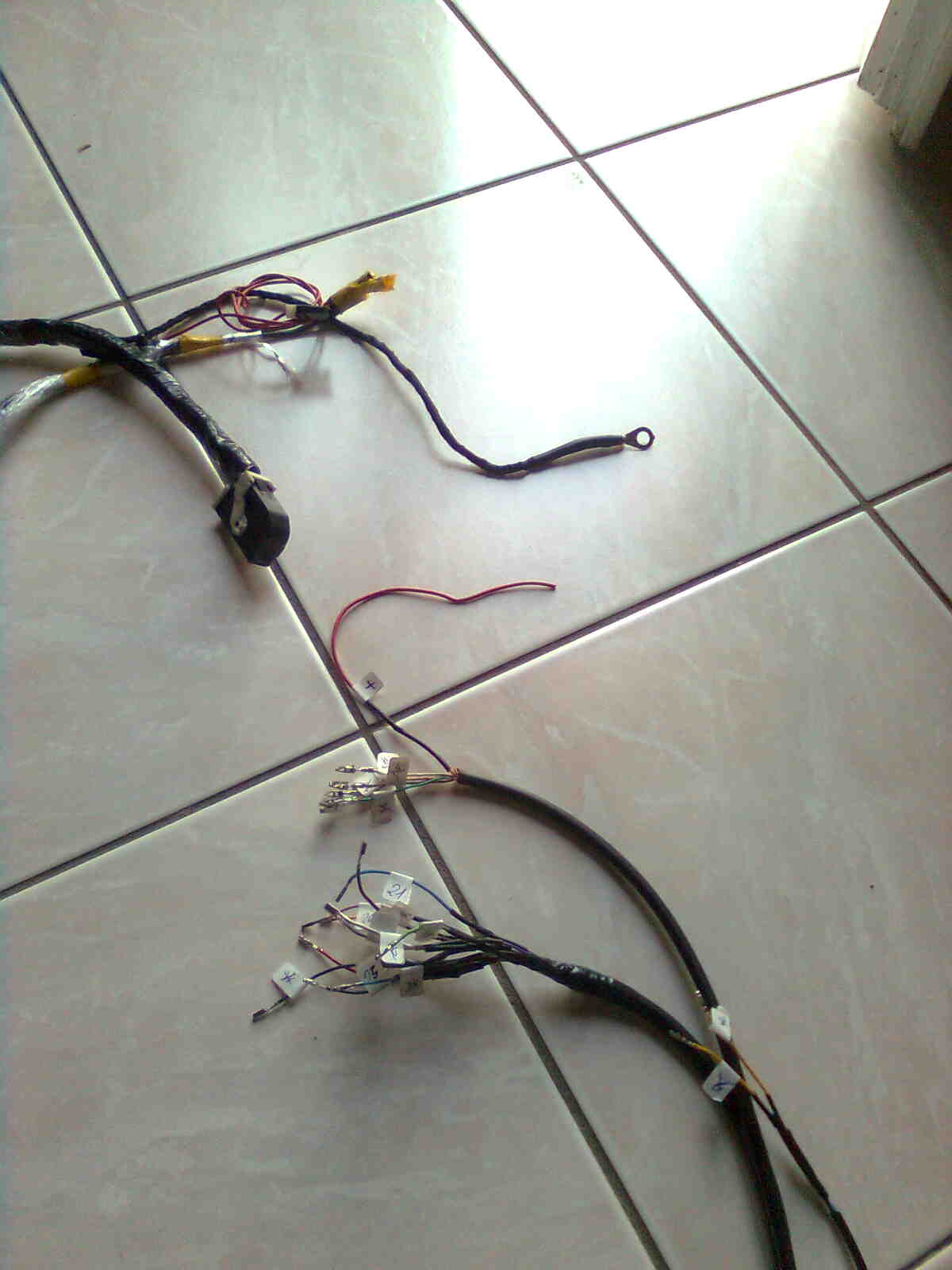 immag0197.jpg