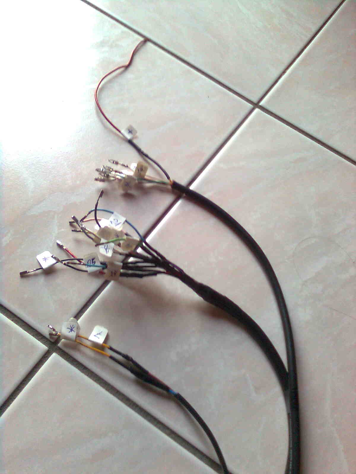 immag0195.jpg