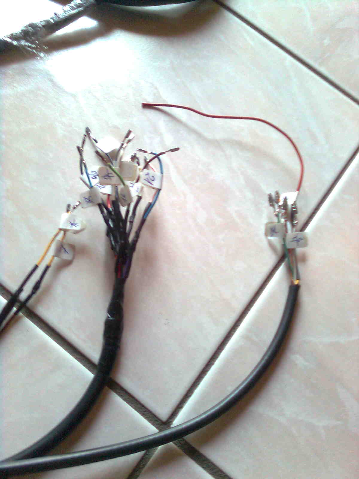immag0192.jpg