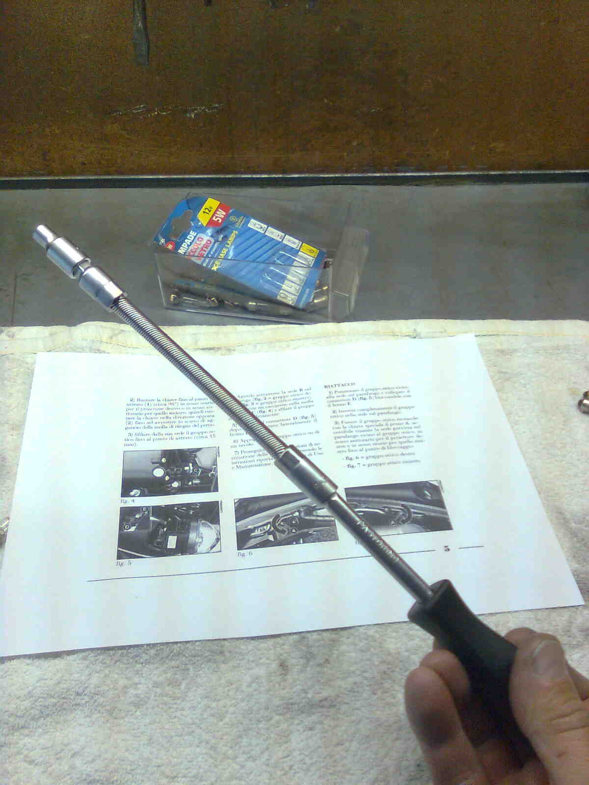 immag0217.jpg