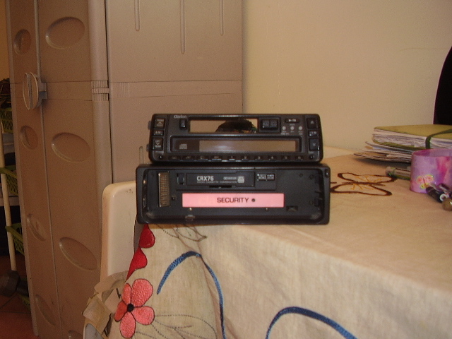 pa310125.jpg