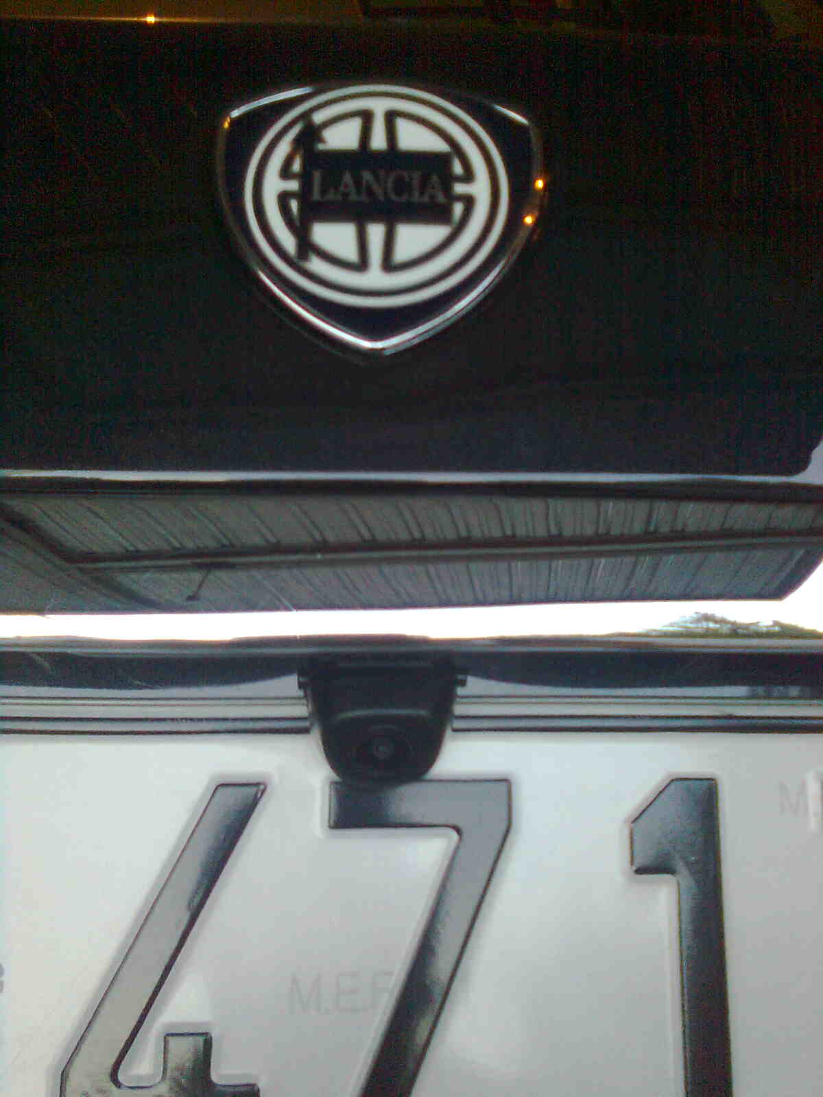 immag0245.jpg