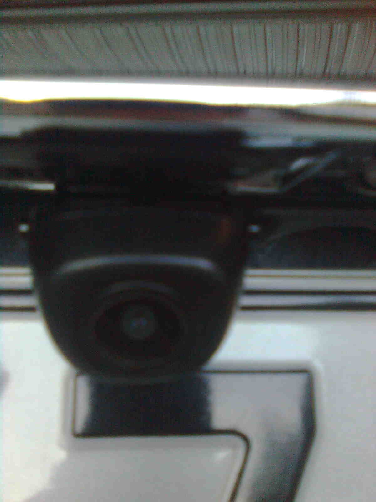 immag0246.jpg