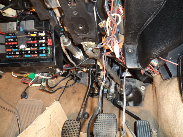 dsc09676 (fileminimizer).jpg