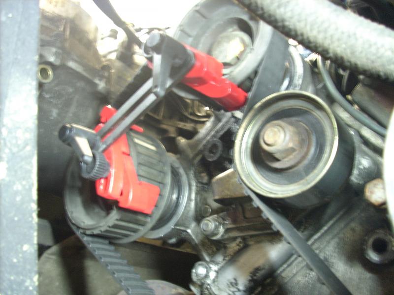 dsci0306.jpg