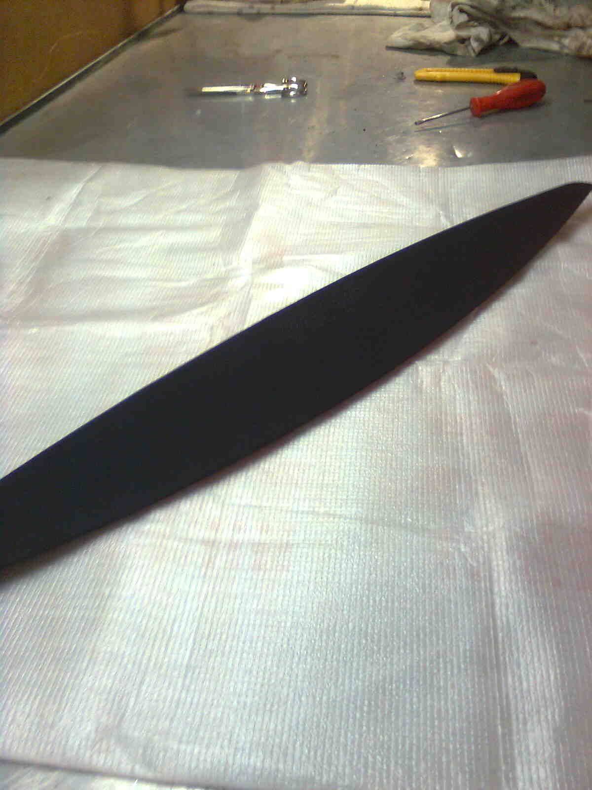 immag0278.jpg