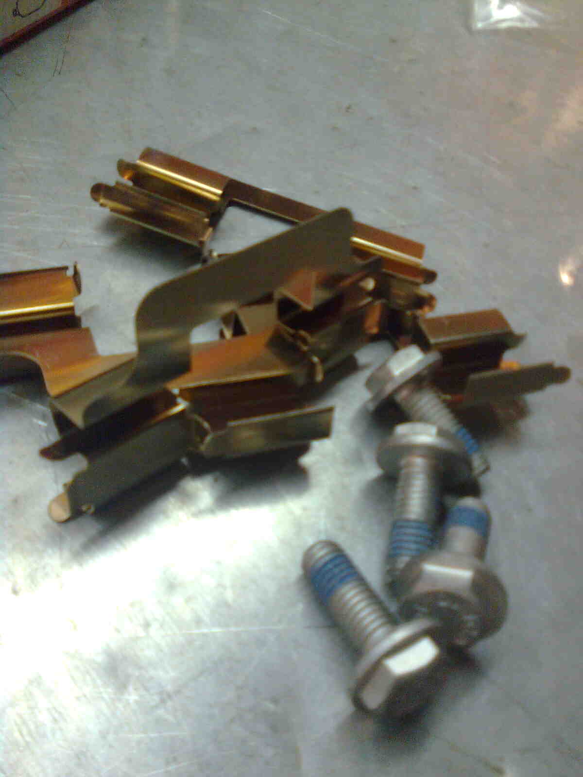 immag0281.jpg